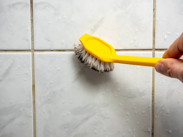 Mold Removal Process in Westwood, PA