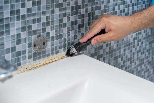 Best Commercial Mold Removal  in Westwood, PA